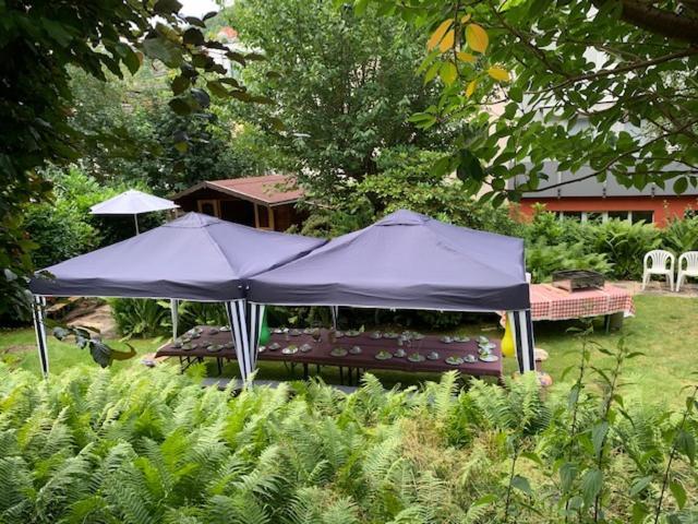 Hotel Sonnenhof Bad Wildbad Eksteriør bilde